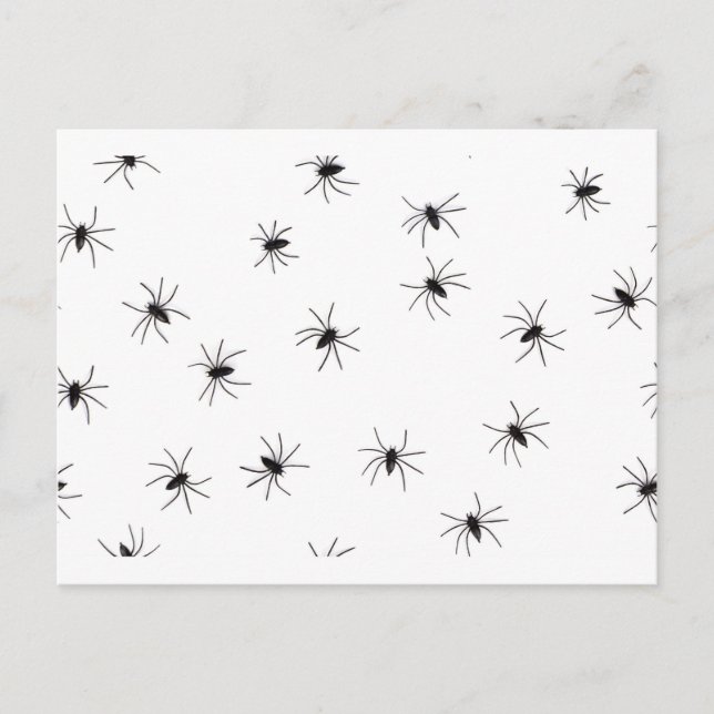 Carte Postale araignées (Devant)