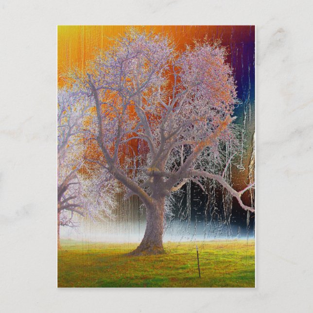 Carte Postale Arborescence des couleurs (Devant)