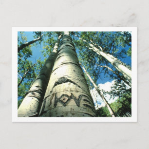 Carte Postale Arbre
