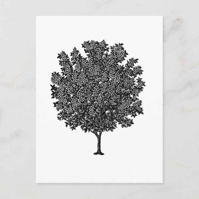 Carte Postale Arbre à fruits (Devant)