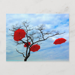 Carte Postale Arbre à parapluie rouge