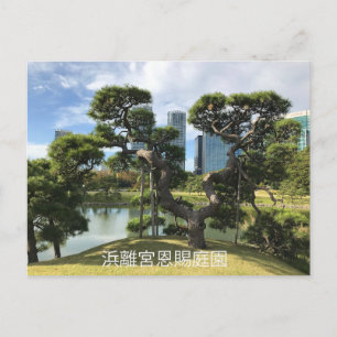 Carte Postale Arbre à pin noir unique