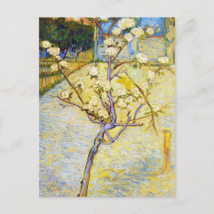 Carte Postale Arbre à poires en fleurs Vincent van Gogh