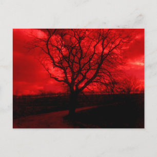 Carte Postale Arbre Abstrait