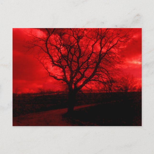 Carte Postale Arbre Abstrait (Devant)