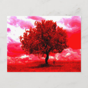 Carte Postale Arbre Abstrait