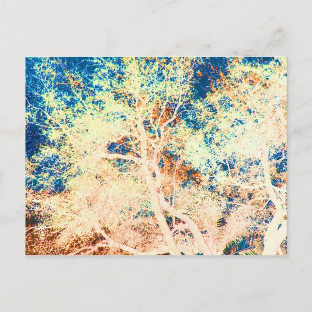 Carte Postale Arbre abstrait arrière - plan orange et bleu (Devant)