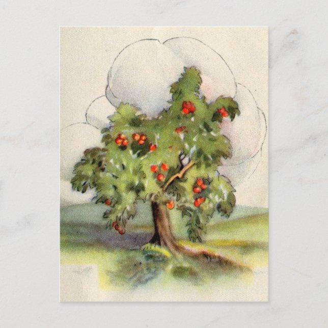 Carte Postale Arbre Apple vintage (Devant)