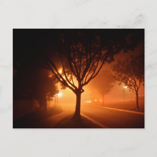 Carte Postale Arbre brouillard (Devant)