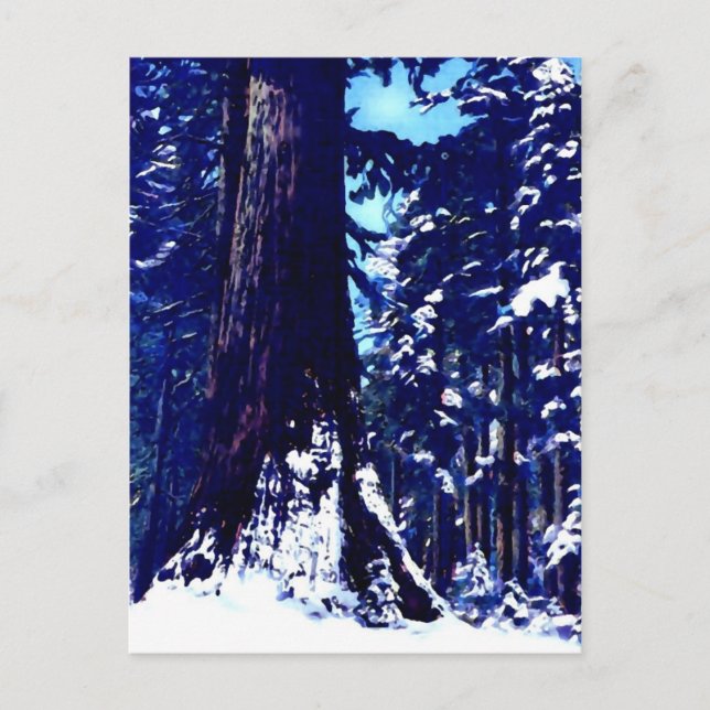 Carte Postale Arbre couvert de neige (Devant)