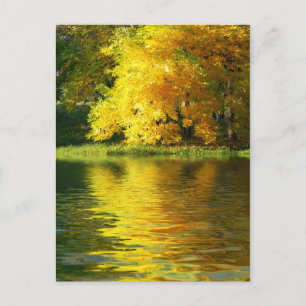 Carte Postale Arbre d'automne dans la forêt avec réflexion
