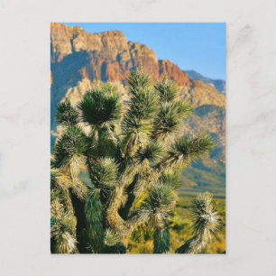 Carte Postale Arbre de cactus