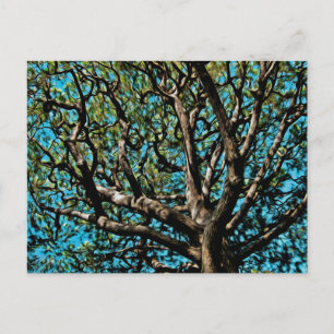 Carte Postale Arbre de chêne
