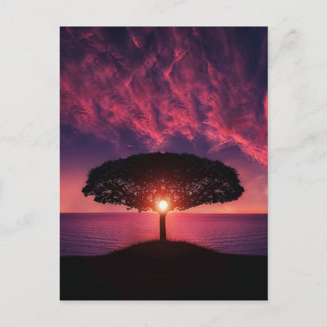 Carte Postale Arbre de coucher du soleil (Devant)