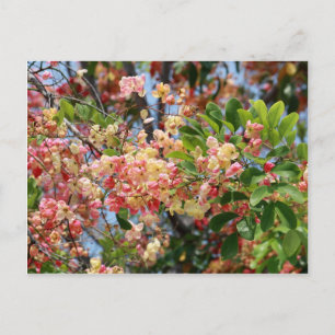 Carte Postale Arbre de douche coloré fleuris