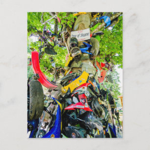 Carte Postale arbre de la queue de honte du dragon