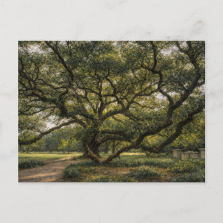 Carte Postale Arbre de la vie du Sud | Art de chêne vivant | Car