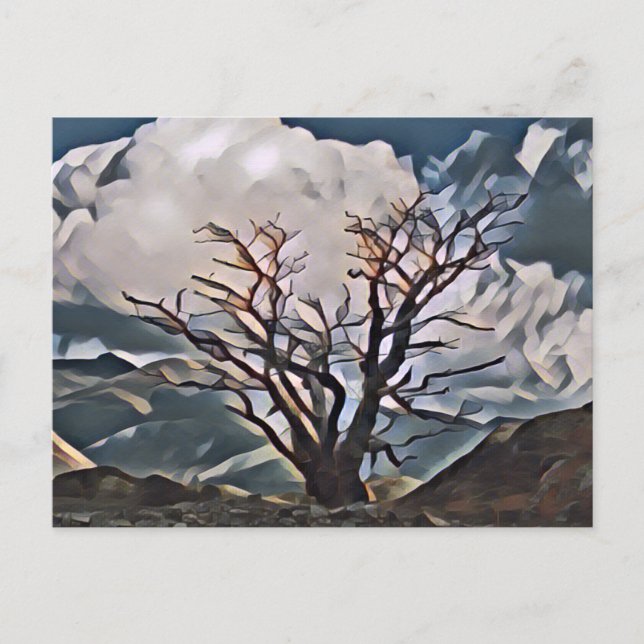 CARTE POSTALE ARBRE DE MONTAGNE (Devant)