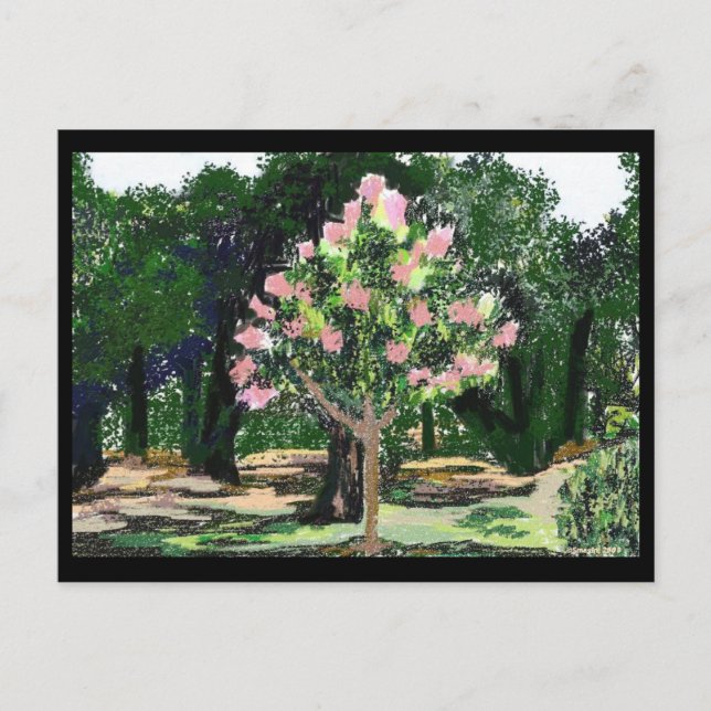 Carte Postale Arbre de myrte de crêpe (Devant)