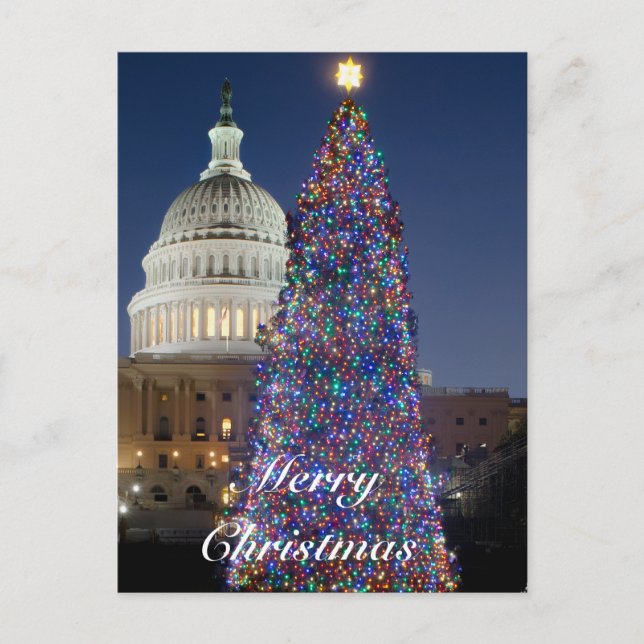 Carte postale Arbre de Noël du Capitole américain (Devant)