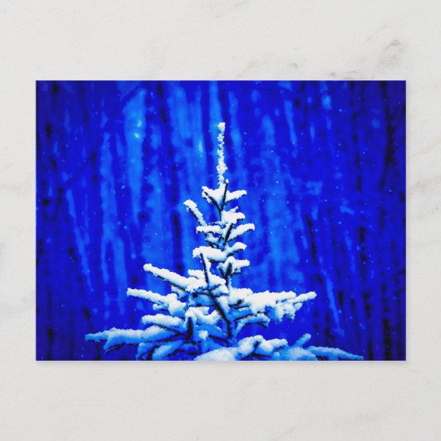 Carte Postale Arbre de Noël, Neige, Nuit Magique (Devant)