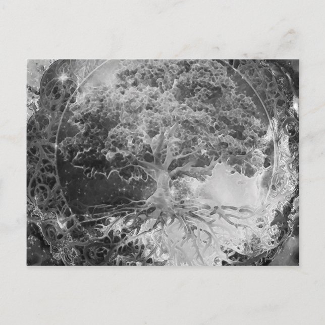 Carte Postale Arbre de santé en noir et blanc (Devant)