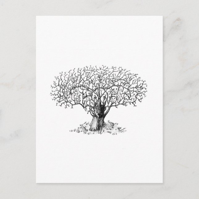 Carte Postale Arbre de vie - animaux (Devant)