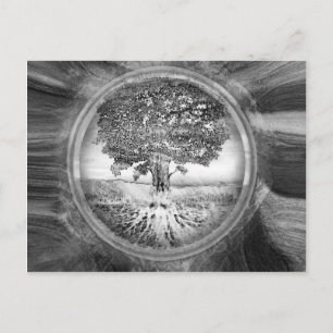 Carte Postale Arbre de vie Espérance de vie Blanc noir