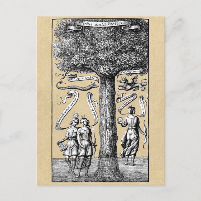Carte Postale Arbre des opposants unis en alchimie (Devant)