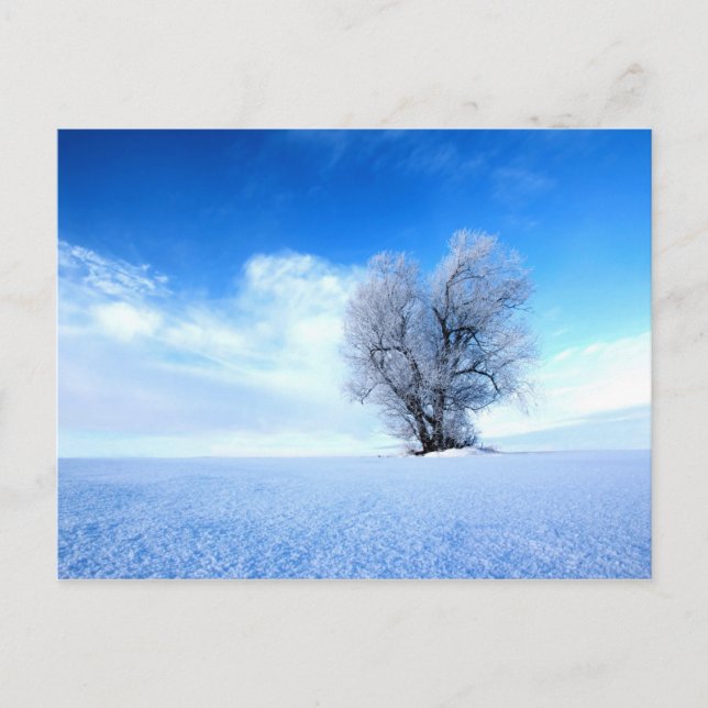 Carte Postale Arbre d'hiver (Devant)