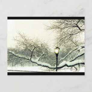 Carte Postale arbre d'hiver du parc central