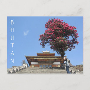 Carte Postale arbre du temple bhoutan