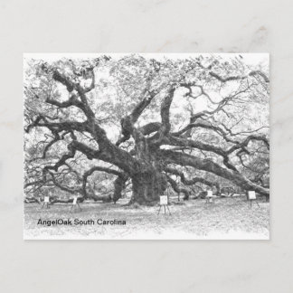 Carte Postale Arbre en chêne d'ange