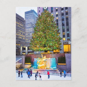Carte Postale Arbre Et Patins 2015