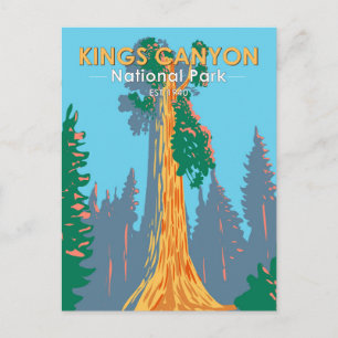 Carte Postale Arbre General Grant du Parc national de Kings Cany