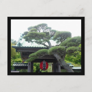 Carte Postale arbre japonais