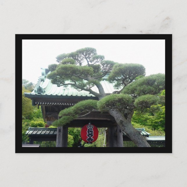 Carte Postale arbre japonais (Devant)