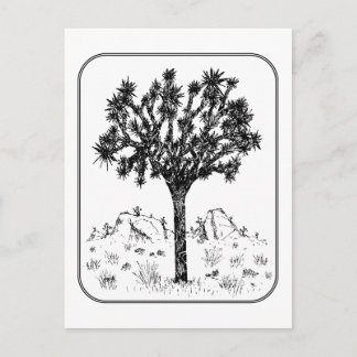 Carte Postale Arbre Joshua (Bordure)