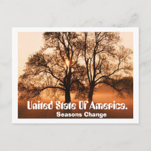 Carte Postale Arbre, Les Saisons Changent, États-Unis D'Amérique