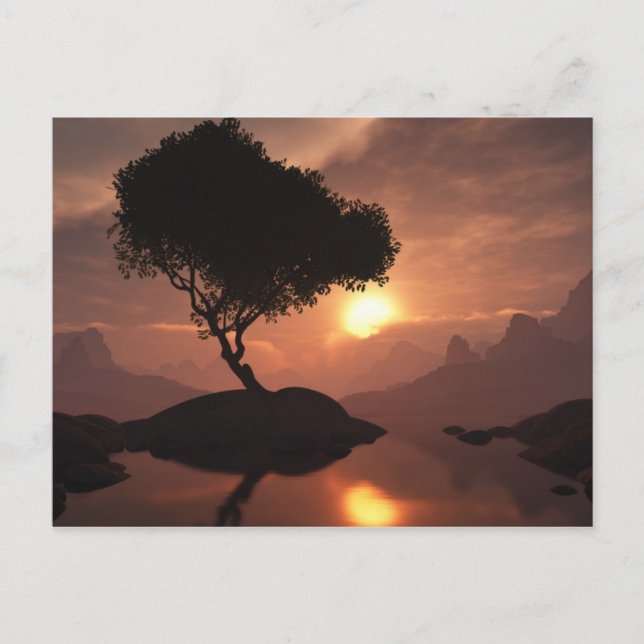 Carte postale Arbre Lone (Devant)
