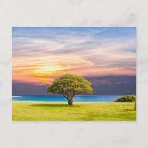 Carte Postale Arbre, Mer & Herbe.