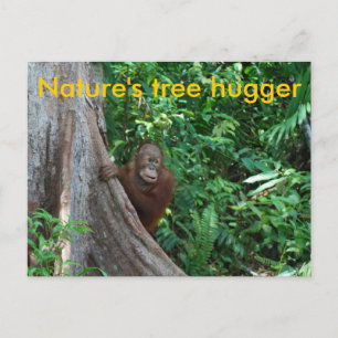 Carte Postale Arbre original Hugger Borneo Nature