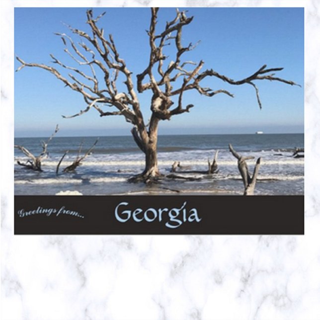Carte Postale Arbre sans feuilles en Géorgie Géorgie USA USA (Créateur téléchargé)