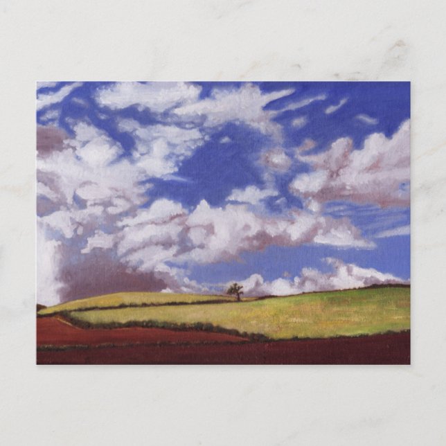 Carte Postale Arbre solitaire 2012 (Devant)