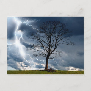 Carte Postale Arbre solitaire et éclair