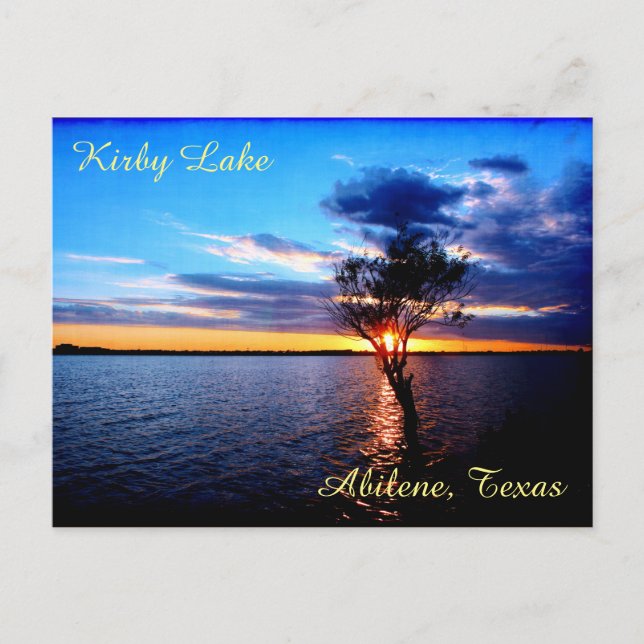 Carte Postale Arbre Sur Le Lac Kirby (Devant)