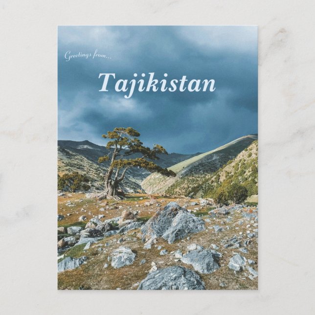 Carte Postale Arbre sur les montagnes du Fann au Tadjikistan (Devant)