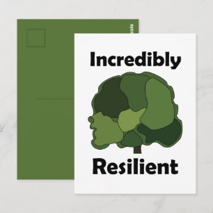 Carte Postale Arbre sycomore incroyablement résilient inspirant
