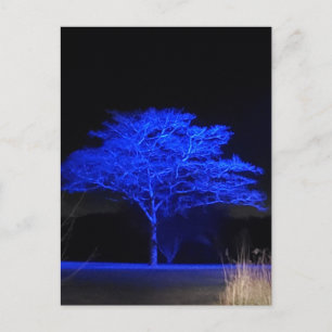 Carte Postale Arbre teint bleu