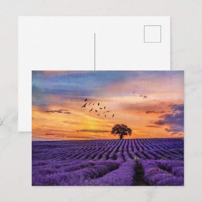 Carte Postale Arbre Unique D'Art D'Origine Paysage Pacifique (Devant / Derrière)